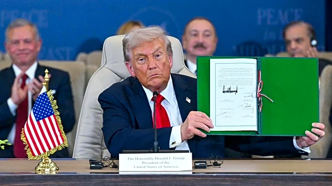 7 more countries agree to join Trump's 'Board of peace'