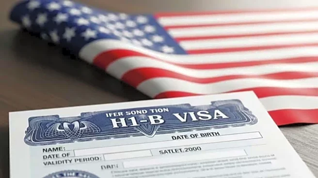 What to do if your H-1B visa is delayed?