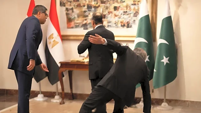 Pakistan minister falls while welcoming Egypt FM; video goes viral