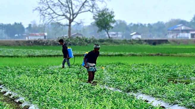 Iran conflict disrupts fertilizer supplies, triggering food crisis in Asia