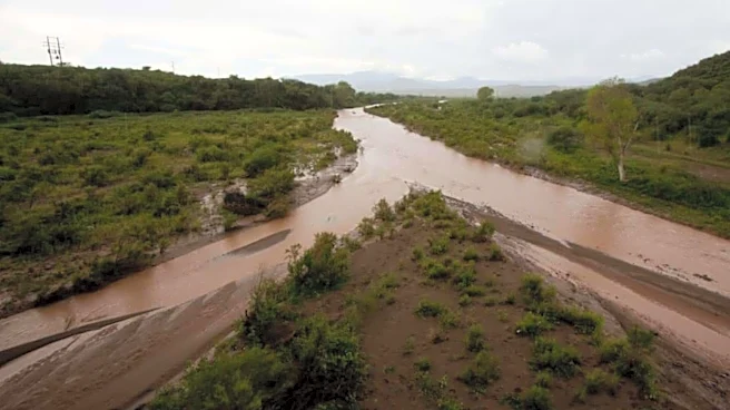 Mexico being used as 'garbage sink' by US: UN expert