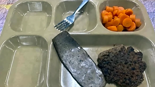 US troops in Middle East facing food shortages: Report