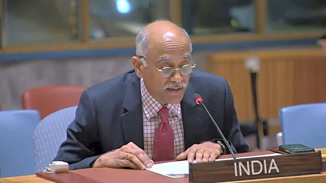 India raises concerns over maritime crisis in Hormuz at UN