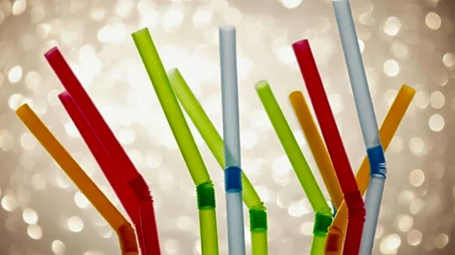 Singapore: French teen faces jail for licking vending machine straw