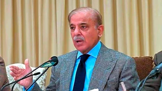 'Our bill has reached $800M': Iran-US war impacting Pakistan's economy