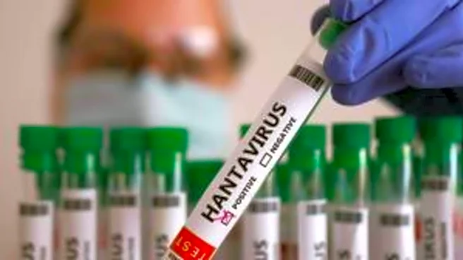 Prepare for more hantavirus cases: WHO chief tells countries
