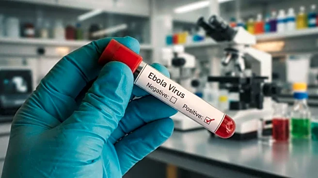 India-Africa Forum Summit postponed amid Ebola outbreak