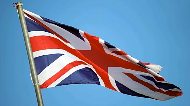 Over £220M lost to investment scams in UK last year