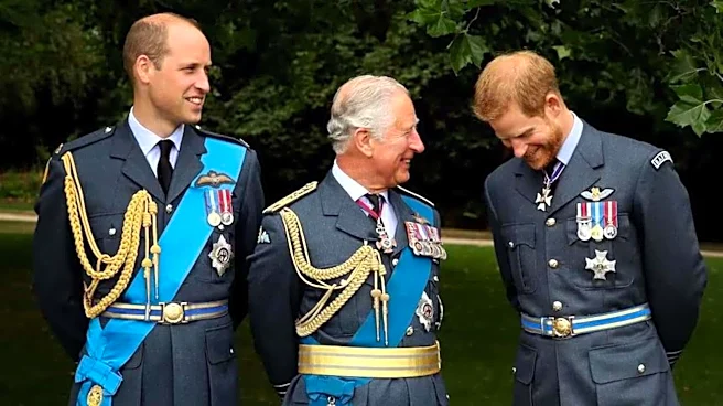 Will Harry's reunion with King Charles mend relationship with William?