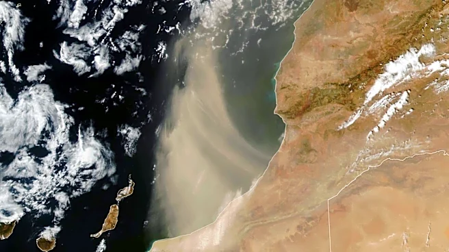 Massive Sahara dust cloud moves toward the United States