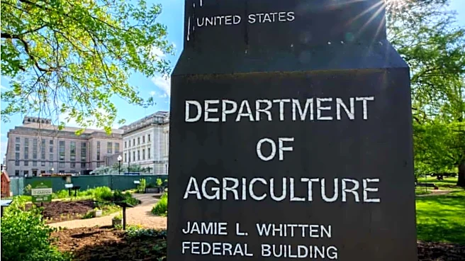 Why US government has shelved research projects on cyclospora