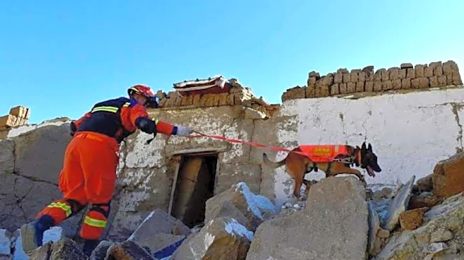 5.3-magnitude earthquake strikes Tibet