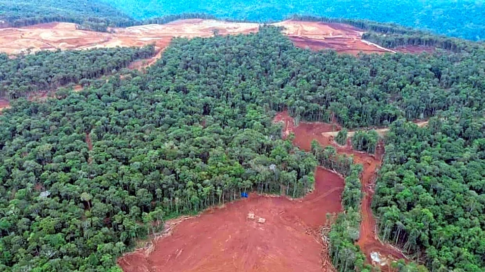 These EV makers are destroying indigenous woodlands in Indonesia