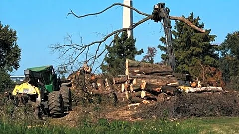 Judge halts Trump tree removals at East Potomac Golf Links