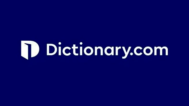 'Maxxing' chosen as Dictionary.com's word of the year