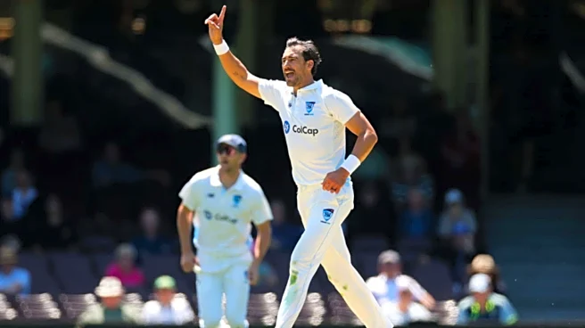 Sheffield Shield: Mitchell Starc shines for NSW with four wickets