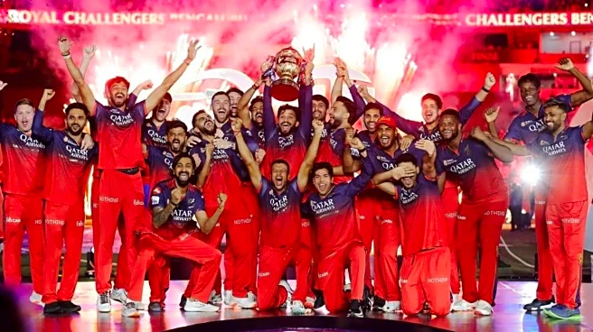 IPL 2026 auction: How Royal Challengers Bengaluru stack up