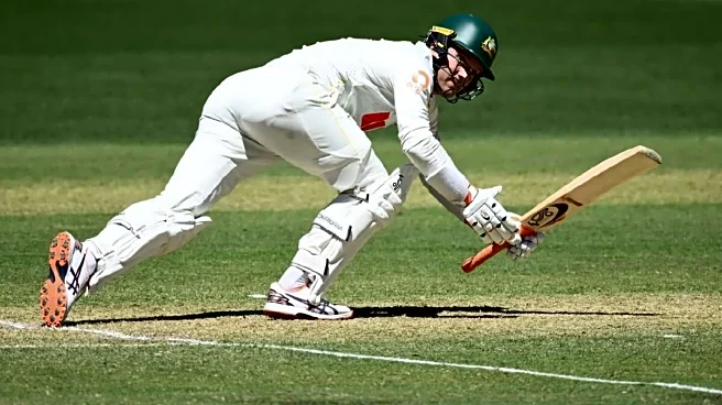 Ashes: Alex Carey admits hearing noise after DRS reprieve