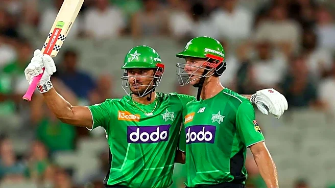 Marcus Stoinis surpasses 3,000 runs in Big Bash League: Stats