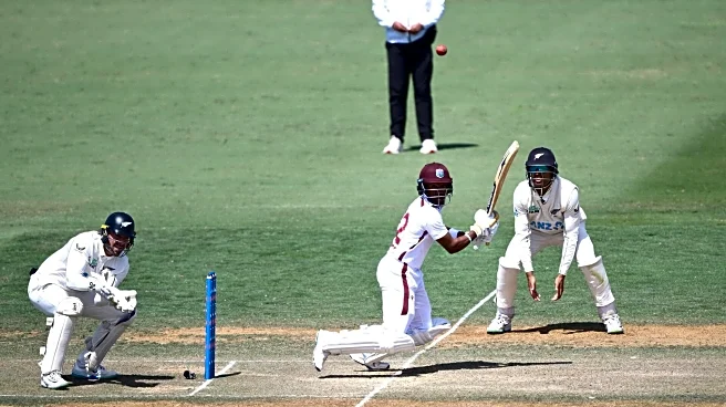 Kavem Hodge shines vs NZ, slams his second Test hundred