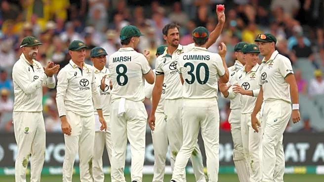 Mitchell Starc traps Duckett for 7th time in Ashes: Stats