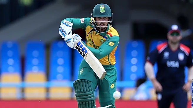 'Different fish': Quinton de Kock on T20 World Cup