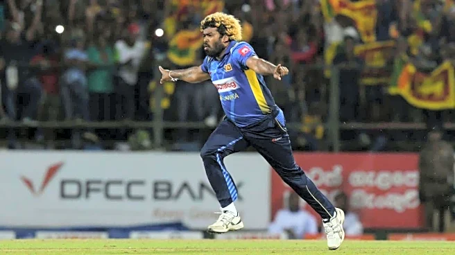 Highest wicket-takers in T20 World Cup history