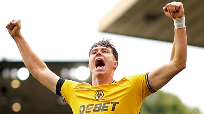 Crystal Palace sign Wolves striker Jorgen Strand Larsen for £48m