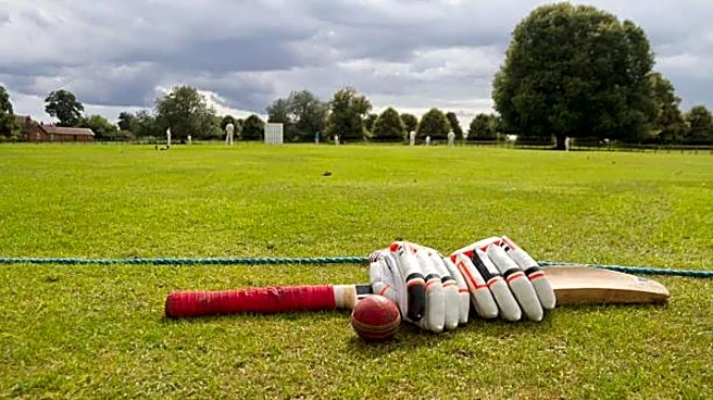 Laminated bats now legal across recreational cricket: Details here