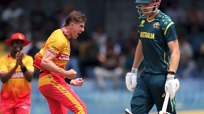 T20 WC: Brad Evans celebrates 50th T20 appearance with three-fer