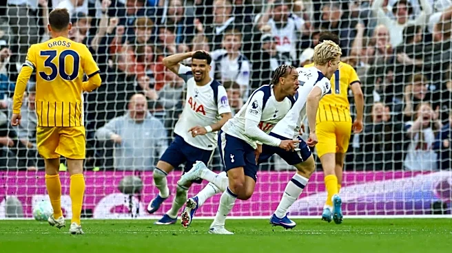 Tottenham held to 2-2 draw by Brighton in Premier League