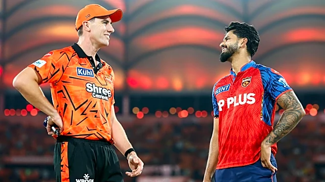 Decoding the fastest team 50 for Sunrisers Hyderabad in IPL