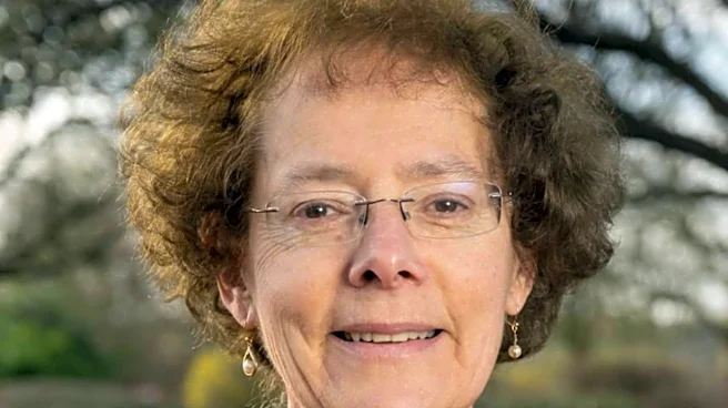 ICC appoints Dr. Ros Rivaz as independent director: Details here