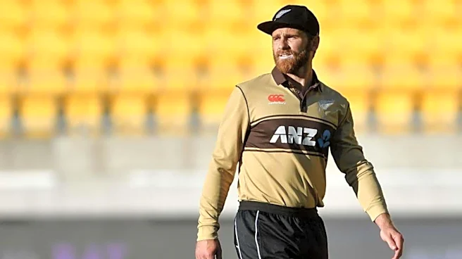 'Continuing wouldn't be right': Williamson reflects on his international retirement
