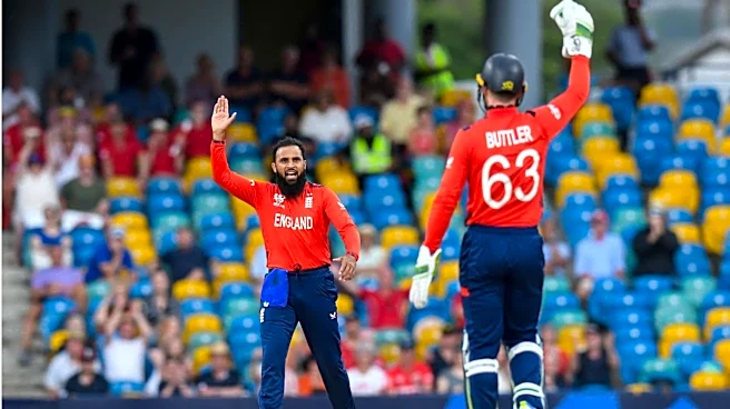 Listing the highest wicket-takers in Men's T20Is