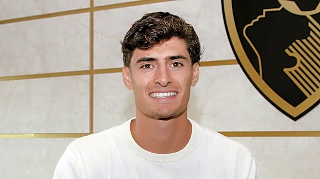 Premier League: Bournemouth sign Benfica defender Antonio Silva