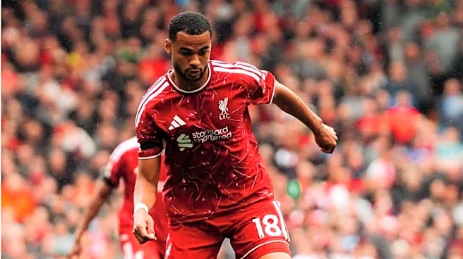 Manchester City in talks to sign Liverpool's Cody Gakpo: Report