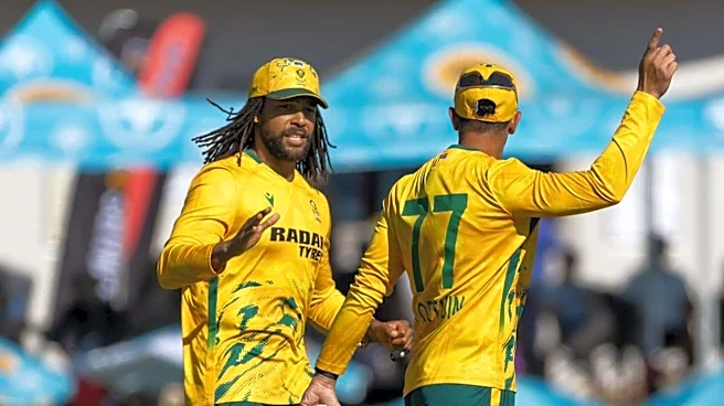South Africa win T20I Tri-series, beat Zimbabwe in final: Stats
