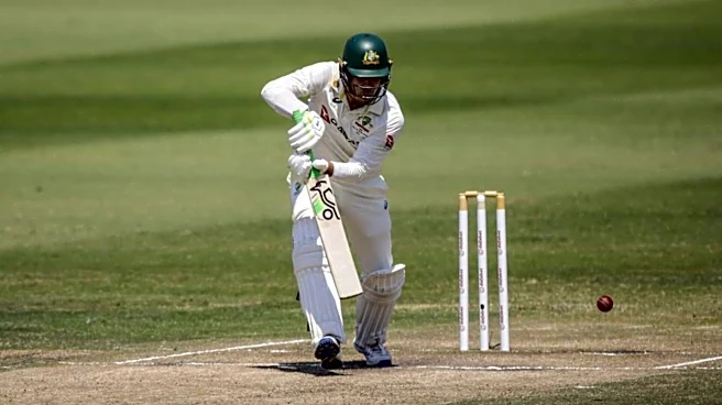 3rd Test, Alex Carey slams 80 versus South Africa: Stats