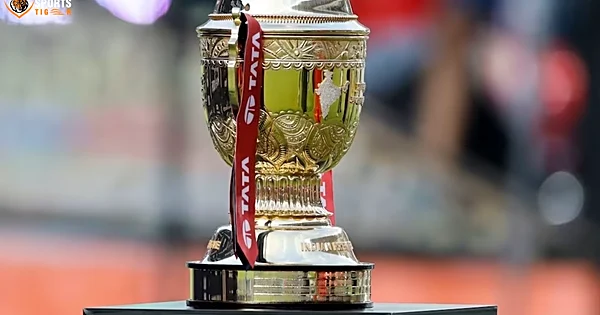 How does Group system work in the IPL?