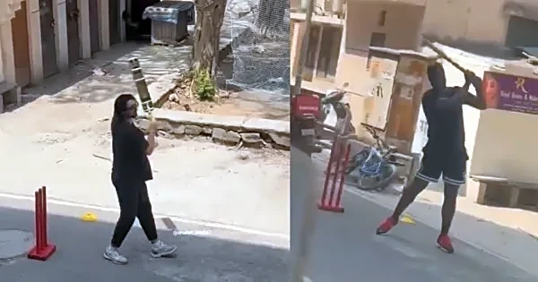 Tim David and Romario Shepherd’s gully cricket moment delights fans ahead of DC clash