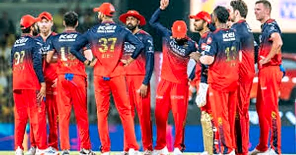 Royal Challengers Bengaluru becomes highest-valued IPL team on Stockgo, MI and CSK grab third and fourth spots