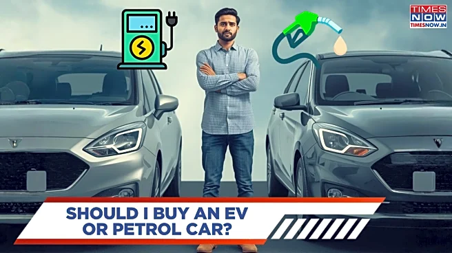 I Travel 100 Km Every Day - Should I Buy An EV Or Petrol Car?