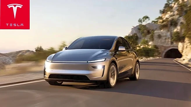 Tesla Vice President Ends 13-Year Journey With The Company - Who Is Raj Jegannathan?