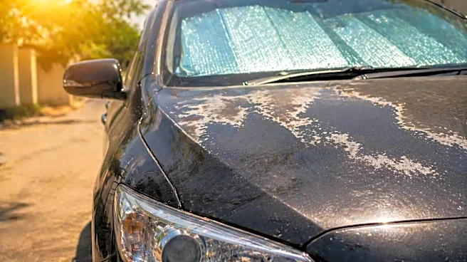 How to Save Your Car’s Dark Colour From Fading In Summer