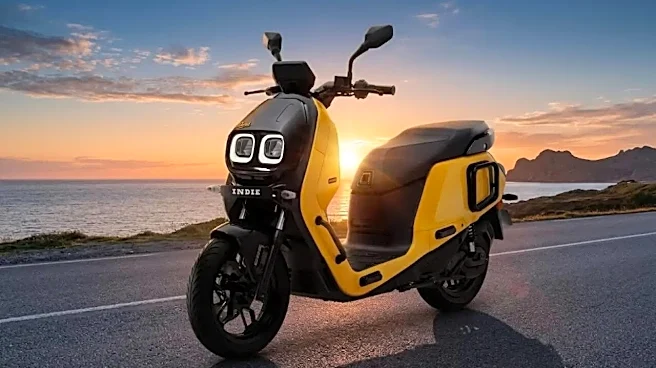 This Electric Scooter Offers 55 Litres Of Storage - Enough For A Week's Groceries?