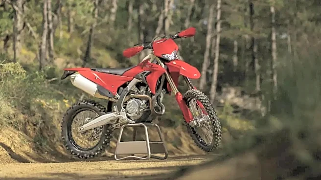 Ducati Desmo450 EDS Makes Global Debut - Here's When You Can Expect It In India