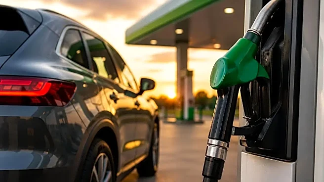 Can You Use E25 Petrol in an E10 or E20 Car? Here's What Owners Need to Know