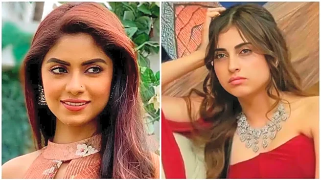 Sayantani Ghosh SLAMS BB 19’s Farrhana Bhatt For Degrading TV: Never Appreciate Such Demarcations – EXCLUSIVE