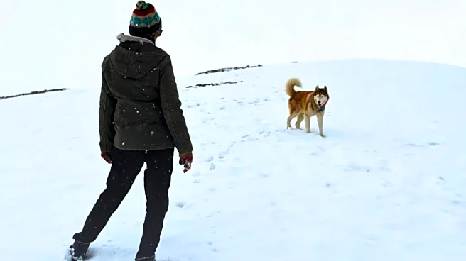 John Abraham Feels 'Grateful' For Oslo A Tale Of Promise Premiering At 56th IFFI: Animals Don't Need Us, We Need Them